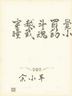 穿越斗罗觉醒重瞳武魂的小说