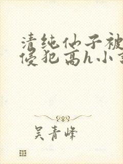 清纯仙子被强行侵犯高h小说小说