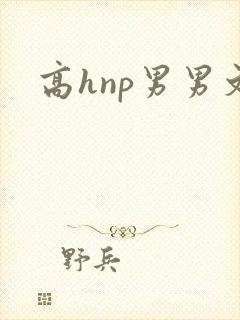 高hnp男男文