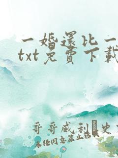 一婚还比一婚高txt免费下载