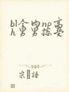 bl全肉np高h男男总受