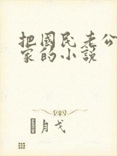 把国民老公带回家的小说