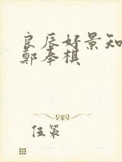 良辰好景知几何郑奉棋