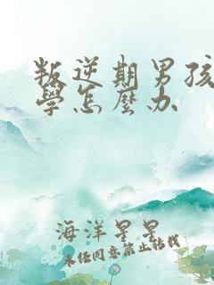 叛逆期男孩子厌学怎么办