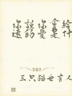 你说你会给我永远的爱是什么歌