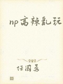 np高辣乱玩文