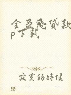 金盈飞贷款app下载