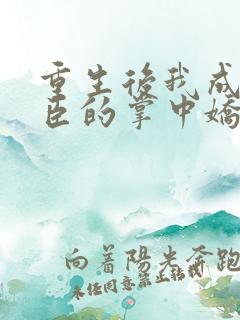 重生后我成了权臣的掌中娇完结