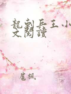 龙刺兵王小说全文阅读