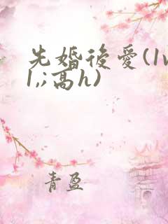 先婚后爱(1v1,;高h)