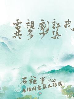 电视剧许我耀眼共多少集