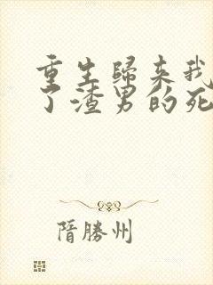 重生归来我嫁给了渣男的死对头