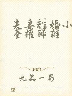 夫妻离婚小孩抚养权归谁