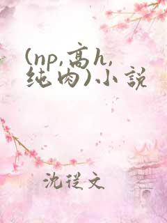 (np,高h,纯肉)小说