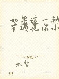 如果这一秒我没有遇见你小说