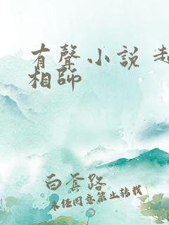 有声小说 超品相师