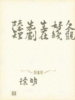 陆先生好久不见短剧在线观看