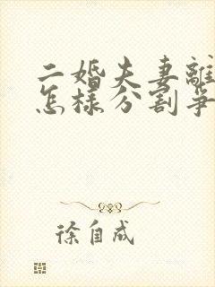 二婚夫妻离婚后怎样分割争财产