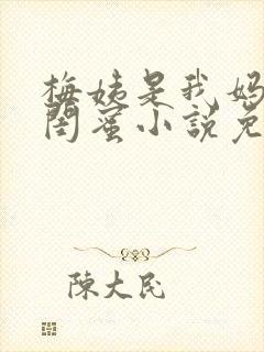 梅姨是我妈妈的闺蜜小说免费阅读