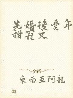 先婚后爱年龄差甜宠文