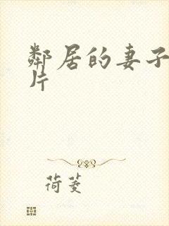 邻居的妻子伦理片