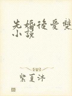 先婚后爱双女主小说