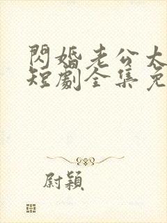 闪婚老公太给力短剧全集免费观看