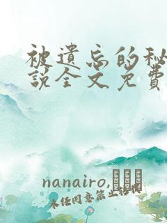 被遗忘的秘密小说全文免费阅读