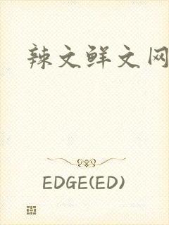 辣文鲜文网