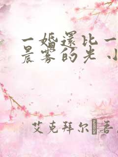 一婚还比一婚高晨雾的光 小说