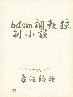 bdsm调教控制小说