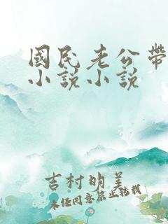 国民老公带回家小说小说