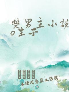 双男主小说abo生子