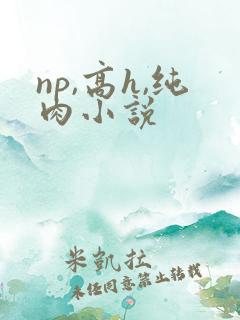 np,高h,纯肉小说