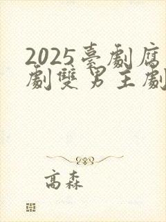 2025台剧腐剧双男主剧少年仔