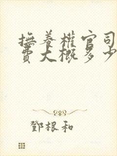 抚养权官司律师费大概多少