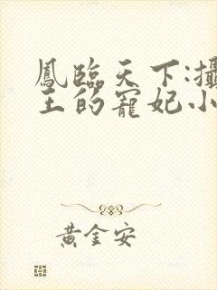 凤临天下:摄政王的宠妃小说