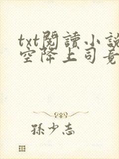 txt阅读小说空降上司竟是前男友