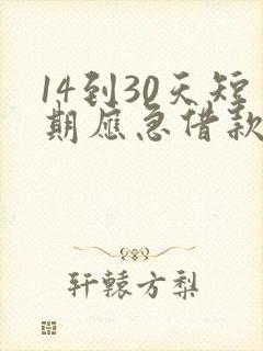 14到30天短期应急借款