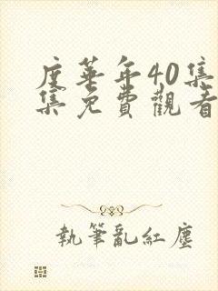 度华年40集全集免费观看