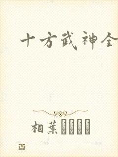 十方武神全书