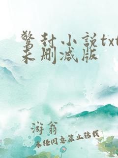 惊封小说txt未删减版