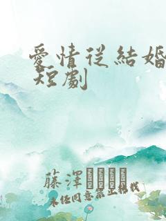 爱情从结婚开始 短剧