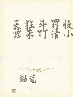 天狂斗罗收服小舞朱竹清小说