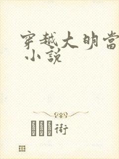 穿越大明当崇祯 小说