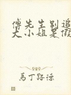 傅先生别追了,大小姐是假的短剧