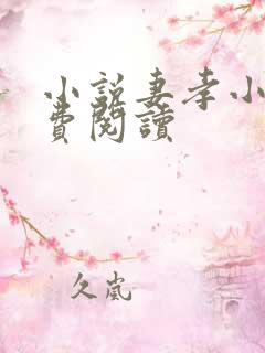 小说妻孝小说免费阅读