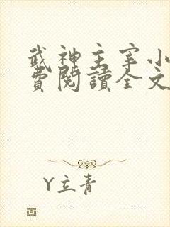 武神主宰小说免费阅读全文无删减