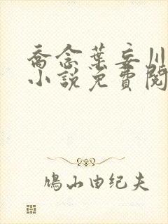 乔念叶妄川正版小说免费阅读