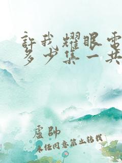 许我耀眼电视剧多少集一共